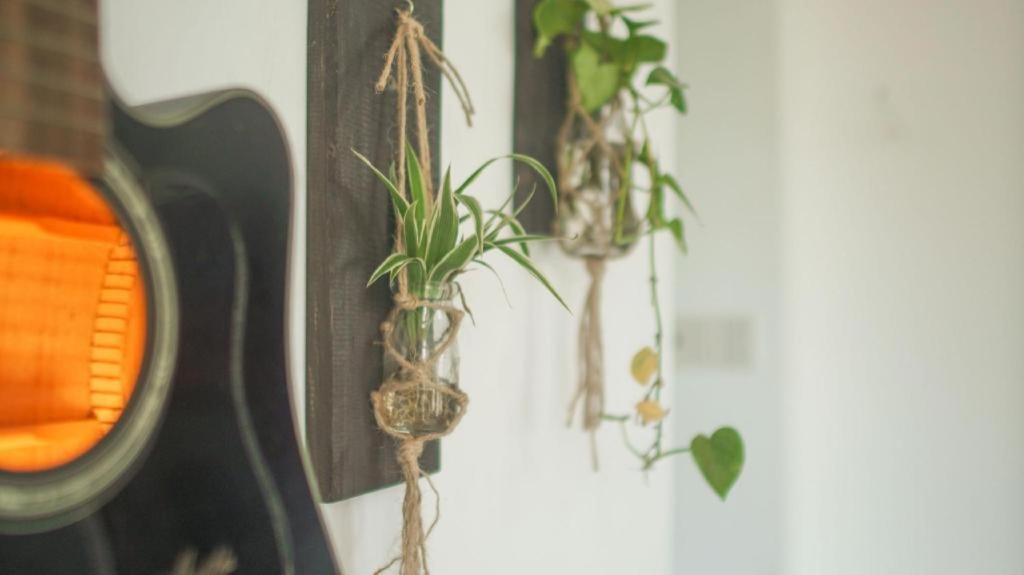 Birdnests Hotel Vinh Hai ภายนอก รูปภาพ